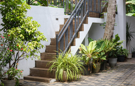 A staircase leading up to a house with a white wall and a tree in the background. The stairs are made of wood and are surrounded by potted plantsの写真素材