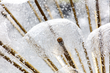 A close up of a snow covered flower with a small bug on it. The bug is on the flower and the flower is surrounded by iceの写真素材