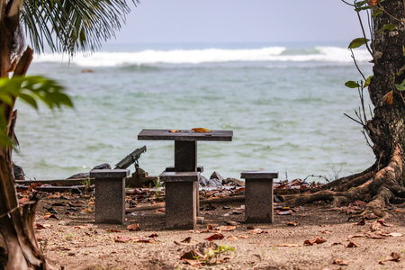 A beach scene with a wooden picnic table and two benches. The table is empty and the benches are covered in leaves. Scene is peaceful and serene, with the sound of the waves in the backgroundの写真素材