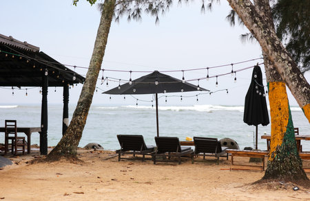 A beach with a black umbrella and a yellow and green tree. There are chairs and tables set up for people to sit and relaxの写真素材