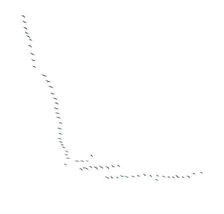 A flock of birds flying in a line across a white background. The birds are in various positions, some closer to the left side of the image and others further to the rightの写真素材