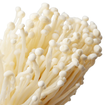 A bunch of white mushrooms with a white background. The mushrooms are clustered together and appear...