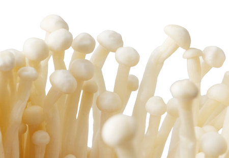 A large group of white mushrooms with a white background. The mushrooms are arranged in a way that...