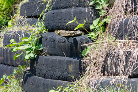 A pile of old tires with green plants growing on top. The tires are stacked on top of each other, creating a unique and interesting landscape. The plants growing on the tires add a touch of lifeの写真素材