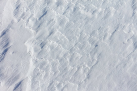 The snow is a bright white color and it covers the ground in a thick layer. The snow is so deep that it almost reaches the ground, creating a beautiful and serene winter landscapeの写真素材