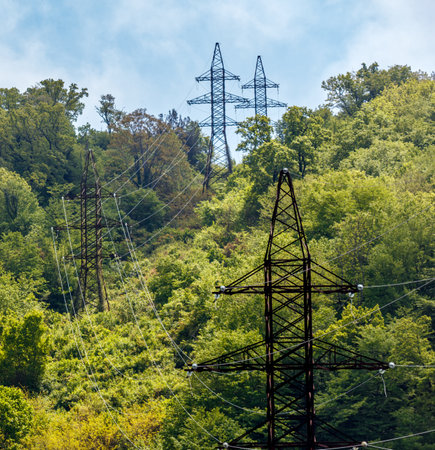 A series of power lines are visible in the trees. The power lines are black and are located on a...