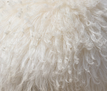 The fur of a white animal is shown in detail, with the texture and color of the fur being the main...