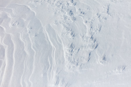 The snow is a bright white color and it covers the ground in a thick layer. The snow is so deep that it almost reaches the ground, creating a beautiful and serene winter landscapeの写真素材