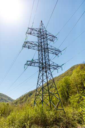 A tall power tower is surrounded by trees and grass. The sky is clear and blue, and the sun is shining brightly. Concept of power and energy, as well as the beauty of natureの写真素材