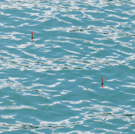 The water is calm and blue, with two red floats floating on top. The scene is peaceful and serene, with the floats adding a touch of color to the otherwise clear waterの写真素材