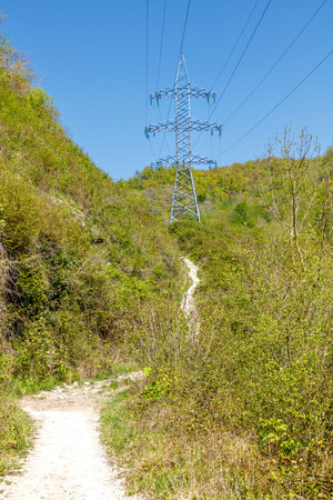 A power line tower is seen in the distance. The sky is clear and blue. The trees are green and lushの写真素材