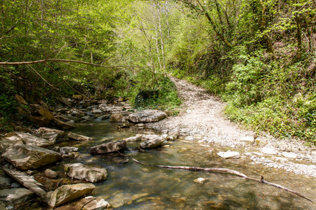 A stream with rocks and a path running alongside it. The water is clear and the path is made of rocksの写真素材