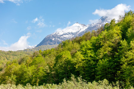 A mountain range with snow on top and a lush green forest below. The sky is clear and blue, and the sun is shining brightly. The scene is peaceful and serene, with the beauty of nature on full displayの写真素材