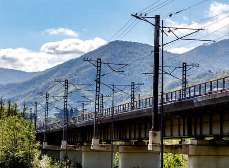 A bridge spans a river with a mountain range in the background. The bridge is surrounded by trees and wiresの写真素材