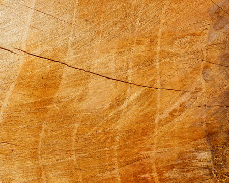 The image is of a wooden surface with a grainy texture. The wood appears to be aged and has a natural, rustic feel to it. The grain of the wood is visibleの写真素材