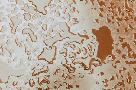 A brown surface with water droplets scattered all over it. The droplets are of various sizes and are spread out in different directionsの写真素材