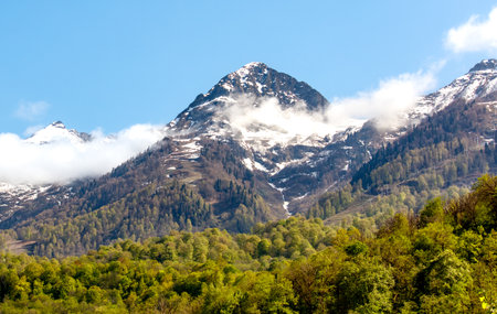 The mountains are covered in snow and the sky is clear. The trees are green and the mountains are tallの写真素材