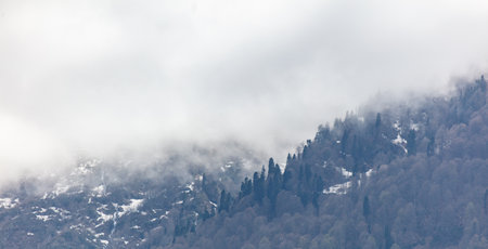 The sky is cloudy and the mountains are covered in snow. The trees are bare and the sky is grayの写真素材