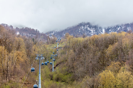 A ski lift is seen in the background of a forest. The trees are bare and the sky is cloudy