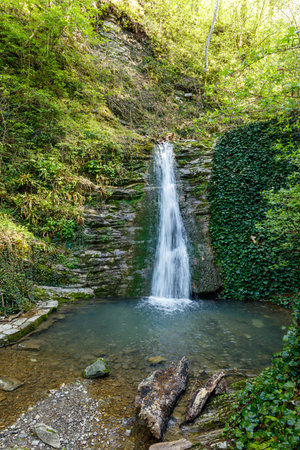 A waterfall is flowing into a small pool of water. The water is clear and the rocks around the pool are scattered. The scene is peaceful and sereneの写真素材