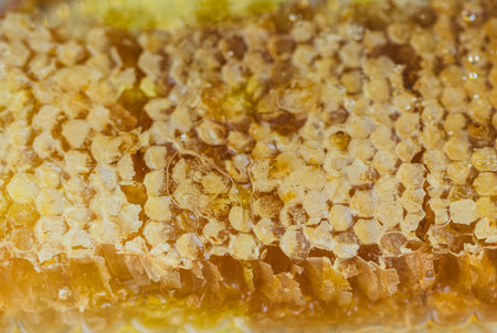 A honeycomb is shown in a close up, with the honey inside the cells. The honeycomb is made up of...