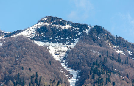A mountain covered in snow with trees in the foreground. The snow is piled up on the mountain, creating a beautiful and serene landscape. Concept of peace and tranquilityの写真素材