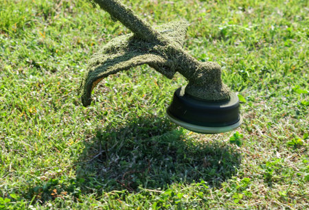 A lawn mower with a green handle and a black cap. The grass is green and the mower is on the grass