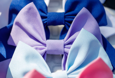 A row of bows in different colors and sizes. The bows are arranged in a row, with the blue one in the middle and the pink one on the right. The purple bow is on the leftの写真素材