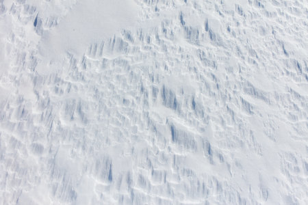 The snow is a bright white color and it covers the ground in a thick layer. The snow is so deep that...