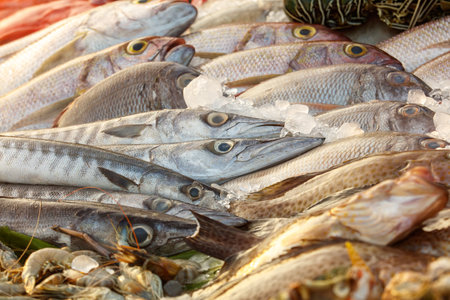 A large assortment of fish are displayed in a market. The fish are arranged in a way that makes them look fresh and appetizing. The market is bustling with activityの写真素材