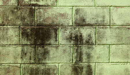 A wall with a greenish color and some spots. The wall is made of bricksの写真素材