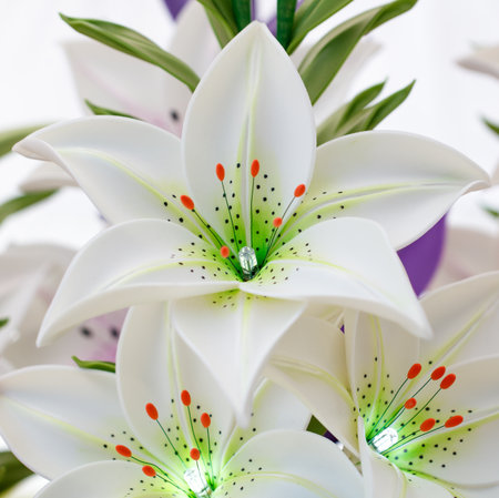A bouquet of white flowers with green accents. The flowers are lit up and arranged in a vaseの写真素材