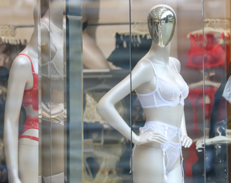 A mannequin wearing a white bra and panties stands in front of a window display. The display is filled with lingerie and other lingerie-related itemsの写真素材