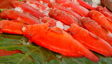 A bunch of red fish are on a leaf. The fish are on ice and are arranged in a rowの写真素材