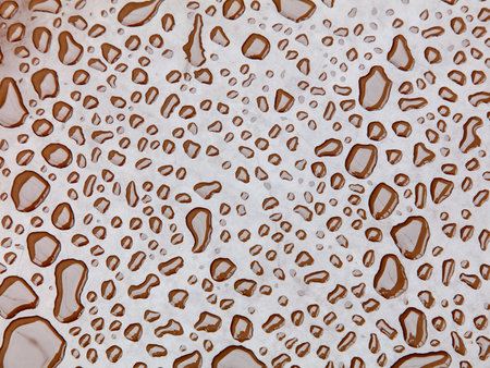 A pattern of brown and white dots, which appear to be raindrops. Scene is calm and serene, as the raindrops seem to be falling gently and creating a peaceful atmosphereの写真素材