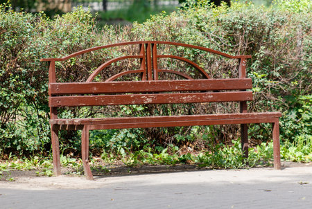 A bench is sitting in a park with a lot of green bushes around it. The bench is empty and has a...
