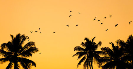 A flock of birds fly over a palm tree in the evening sky. The birds are silhouetted against the orange sky, creating a serene and peaceful atmosphereの写真素材