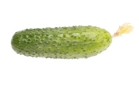 A cucumber is shown in its natural state, with a green stem protruding from the topの写真素材