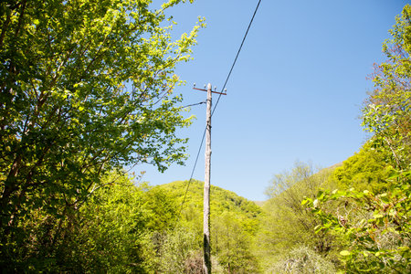 A tall wooden pole with a power line running up it. The sky is clear and blue. The trees are green...