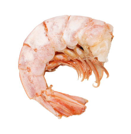 A shrimp is shown in its tail, with the head and body missing. The shrimp is frozen and he is in a white backgroundの写真素材