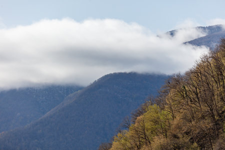 The sky is cloudy and the mountains are covered in trees. The clouds are low and the mountains are...