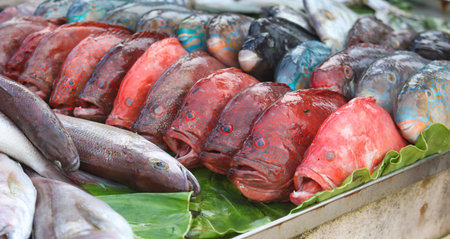 A variety of fish are displayed on a table, including some red fish. The fish are arranged in a way...