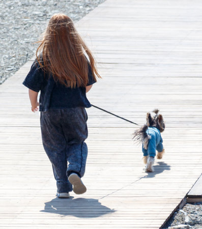 A girl is walking her dog on a wooden boardwalk. The dog is wearing a blue sweater