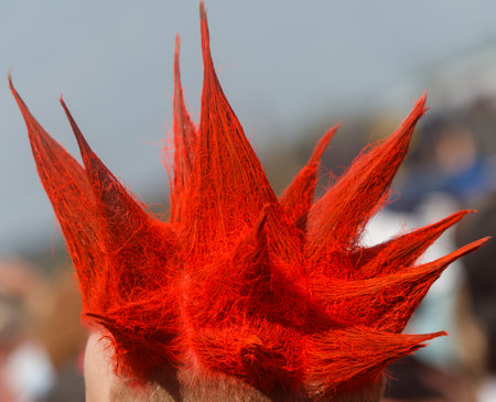 A person with red hair has a red spikey hairstyle. The hair is styled in a way that it looks like a red flower. The person is standing in a crowd of people, and the overall mood of the image is livelyの写真素材