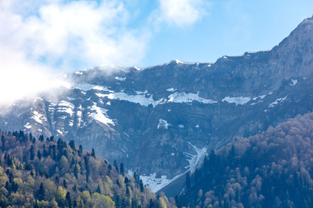 The mountain range is covered in snow and has a beautiful blue sky in the background. The trees are...