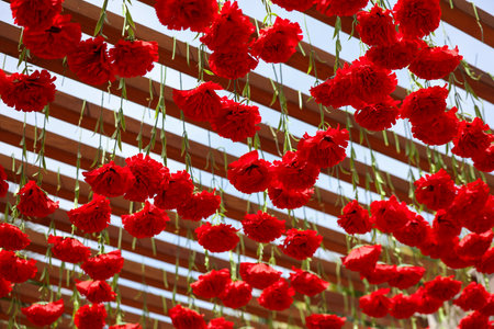 A bunch of red flowers hanging from a wooden structure. The flowers are arranged in a way that they...