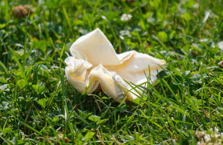 Piece of paper is laying on the grass. It is white and has a brown edge. The grass is green and the...