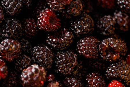 Fresh blackberries as background. Macro.