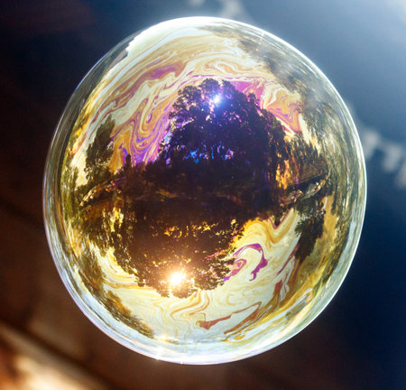 Bubble with a tree in the middle of it. The bubble is yellow and purple