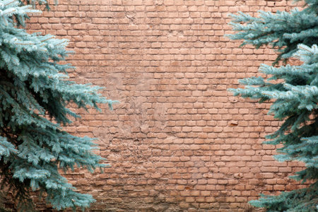 A brick wall with two green trees on either side. The trees are in front of the wall and are not touching itの写真素材